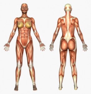 Fitness tips