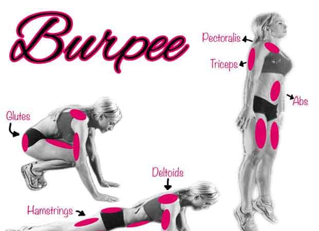 Fitness Tip Tuesday – Fat Burning Exercise – The Burpee
