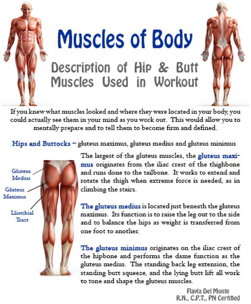 Best Muscles to Workout Together