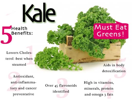 foods for weightloss