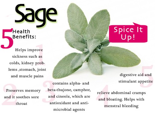 Healthy Diets for Women