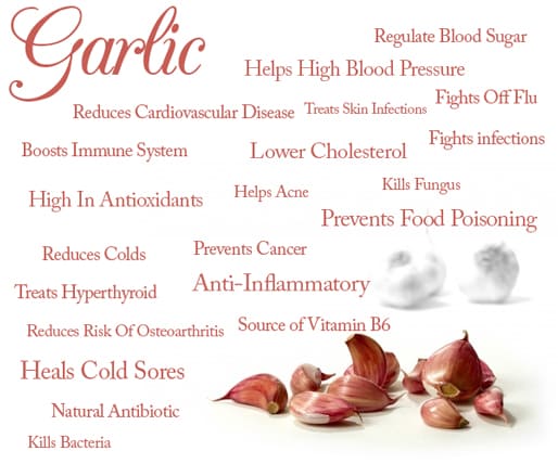 what are the benefits of garlic