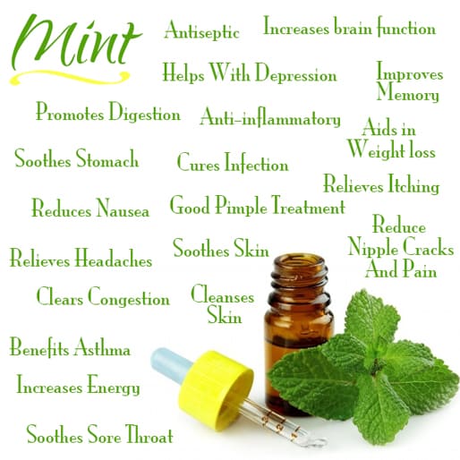 fresh mint health benefits