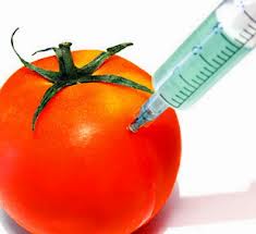 chemicals used in food