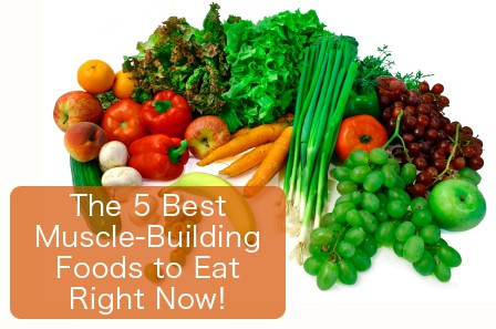 best muscle building protein