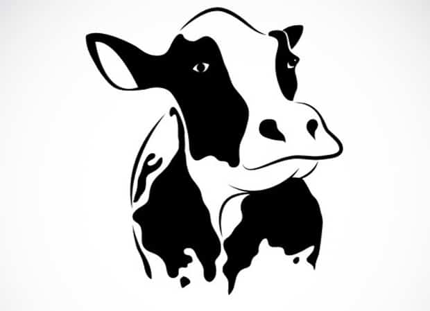 Food Friday – Grass-Fed Beef