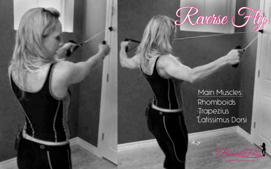 shoulder fly exercise