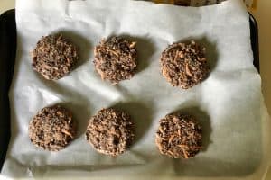 Veggie Burgers on Tray before cooking